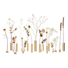 an assortment of flowers arranged in gold vases