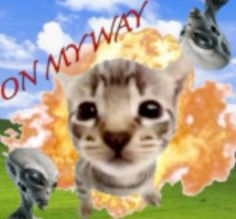 an image of a cat that is in the air with other cats around it and on fire