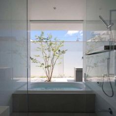 a bathroom with a tree in the bathtub and glass doors on the outside wall