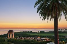 a palm tree in the foreground with an ocean and golf course in the background