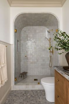 a white toilet sitting next to a walk in shower