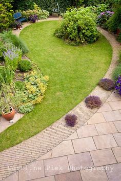 a garden with lots of green grass and flowers