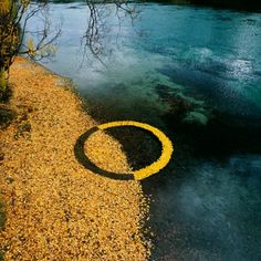 an image of a river with yellow leaves on the ground and water in the background