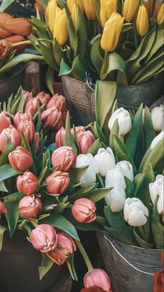 tulips and other flowers are arranged in buckets