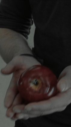 a person holding an apple in their hands