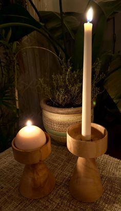 two candles sitting on top of a table next to a potted plant