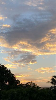 an airplane is flying in the sky at sunset with trees and bushes around it as the sun sets