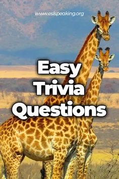 two giraffes standing next to each other with the words easy trivia questions