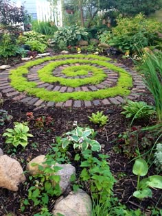 a garden with rocks and plants in the center, surrounded by green grass that looks like a spiral