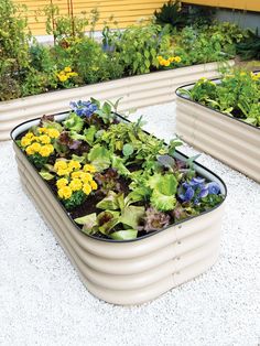 two rectangular planters filled with plants on top of a gravel ground next to a yellow building