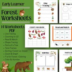 four worksheets for forest animals and plants