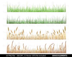 grass cliparts with different types and colors