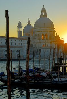 several gondolas are tied to poles in front of a large building at sunset