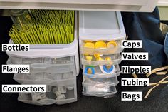 the contents of an organized refrigerator are labeled