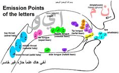 an image of a map with the names of different letters and numbers in arabic language