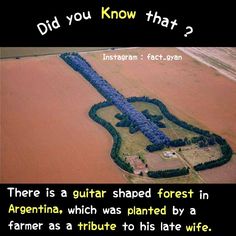 there is a guitar shaped forest in argentina, which was planted by a farmer's tribute to his late wife