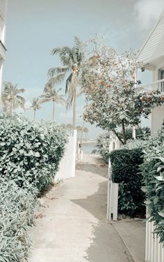 the sidewalk is lined with trees and bushes next to an ocean side house in black and white