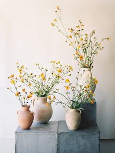 three vases with yellow flowers in them sitting on concrete blocks against a white wall