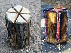 there are two different types of tree stumps