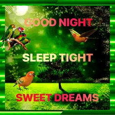 the words sleep tight, sweet dreams and good night are in front of a green background