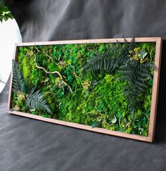 an image of a moss covered wall in the shape of a frame with leaves and plants on it