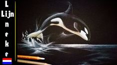 an orca jumping out of the water in front of a pencil and eraser