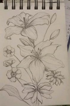 a pencil drawing of flowers on paper