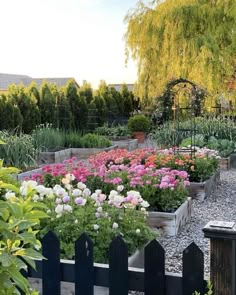 a garden filled with lots of flowers next to a black fence and trees in the background