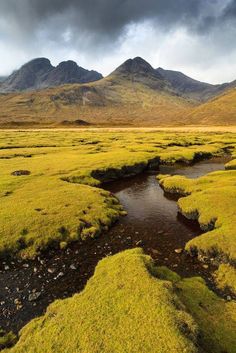 a small stream running through a lush green field with mountains in the backgroud