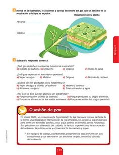 a brochure with an image of a plant and the words question de poz