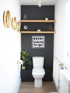 a white toilet sitting in a bathroom next to a wall mounted shelf filled with potted plants