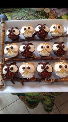 there are many cupcakes with owls on them in the shape of sticks and branches