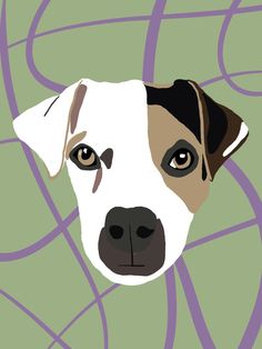 a dog's head is shown with purple lines in the background