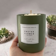 a hand holding a green candle in front of some succulents and cacti