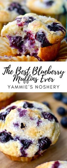 the best blueberry muffins ever yummy's bloshery