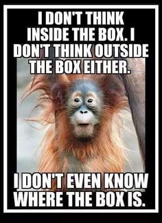 an orangutan with the caption i don't think inside the box, i don't think outside the box either