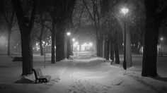 a park bench covered in snow at night