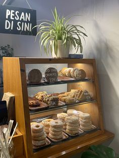 a display case filled with lots of donuts and pastries next to a potted plant