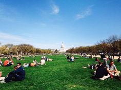 many people are sitting on the grass in front of the capitol building