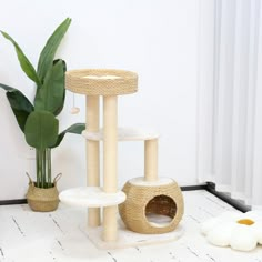 a cat tree with several scratching posts and a potted plant on the floor next to it