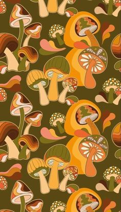 an image of many different types of mushrooms on a brown background with green and orange colors