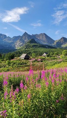 Tatra national park Poland zakopane town square tatra mountains Poland tourism travel industry Tatra National Park Poland, Zakopane Poland Summer, Tatra Mountains Poland, Poland Scenery, Poland Countryside, Poland Aesthetics, Poland Zakopane, Poland Aesthetic, Poland Trip