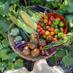 a basket filled with lots of different types of fruits and veggies on top of a lush green field