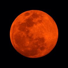 the full red moon is seen in the dark sky