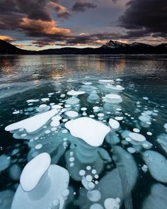 ice floes floating on the surface of water under a cloudy sky with mountains in the background