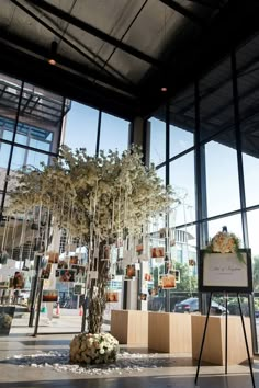 a tree in the middle of a room with lots of windows and plants growing out of it