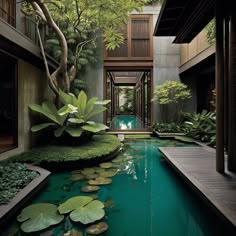 an indoor pool with water lilies and greenery in the foreground, surrounded by tall buildings