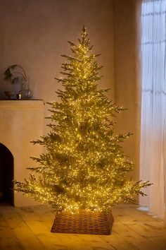 a lit christmas tree in a basket on the floor next to a fire place and window