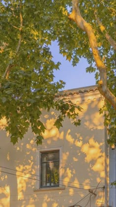 the sun is shining through the trees and shadows on the building's exterior wall