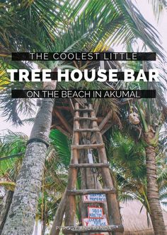 the coolest little tree house bar on the beach in akuma